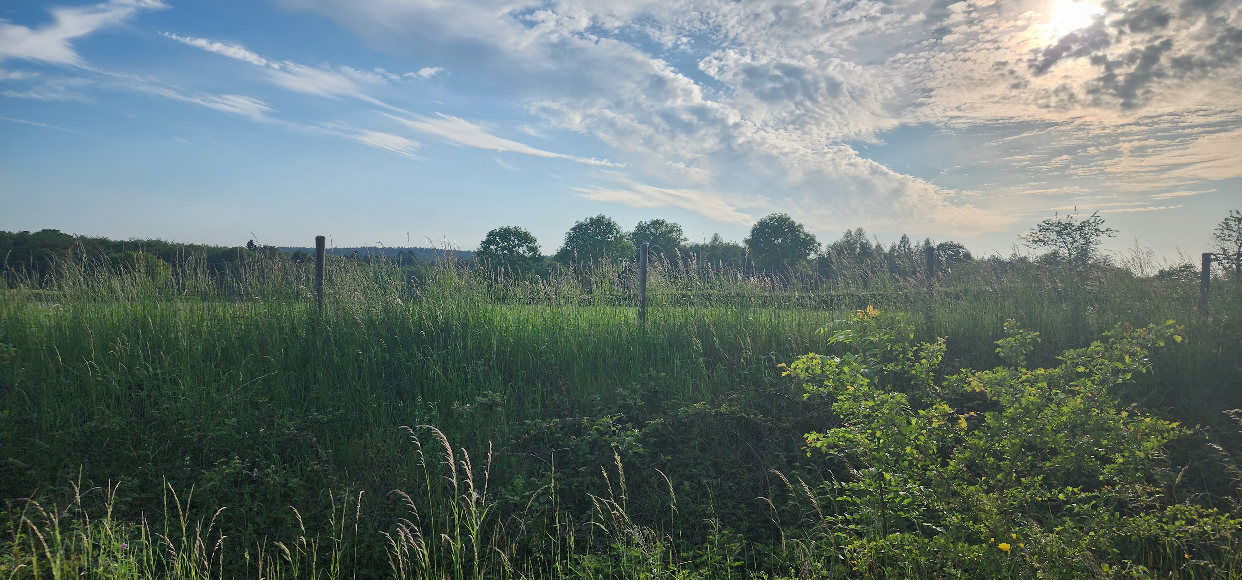 Along the bike route