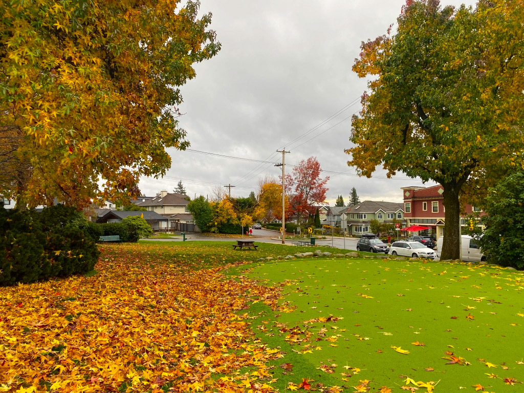 Park