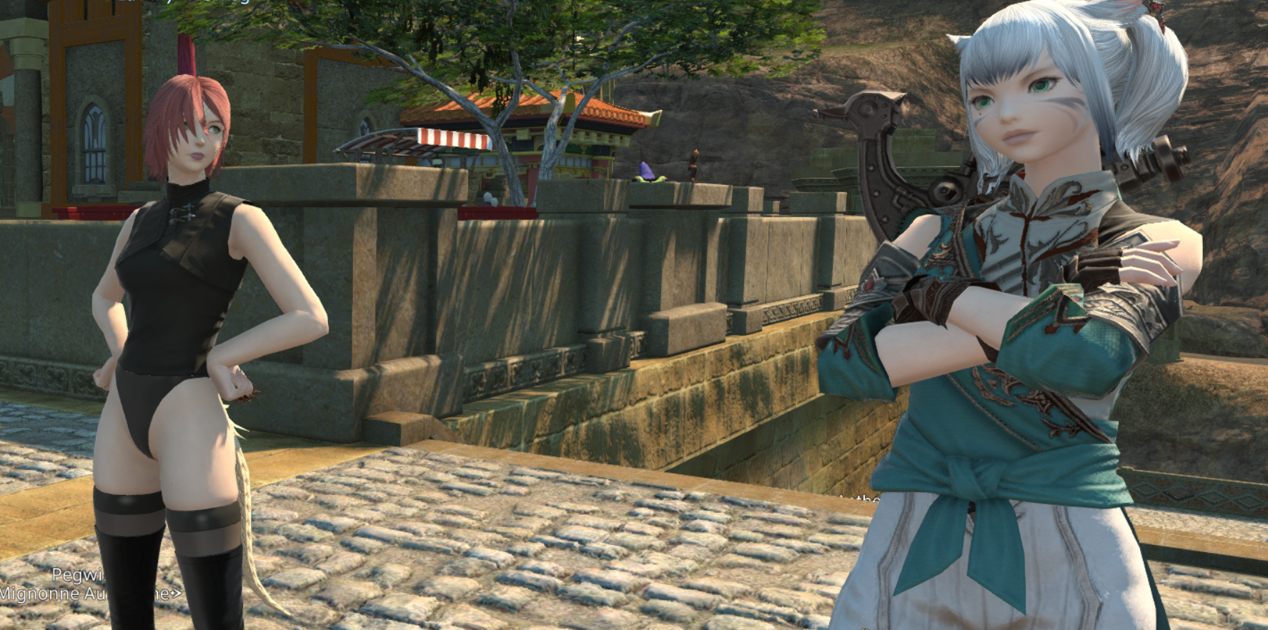 Screen shot two characters FFXIV