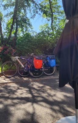 Photo of bikes close to a patio umbrella