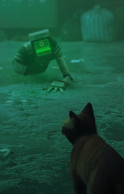 Screen shot from Stray the movie