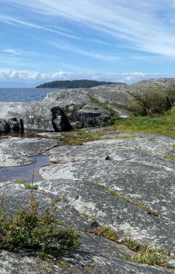 Photo of the sea from Sechelt
