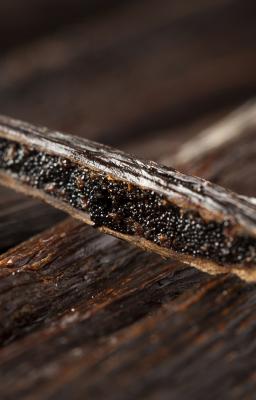 Photo of vanilla pod