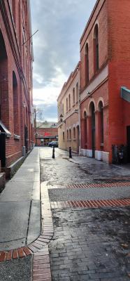 Photo of Victoria street