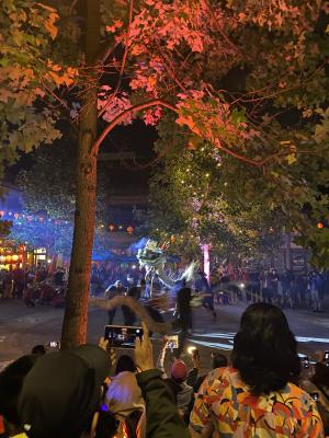 Picture of the dragon dance