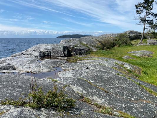 Photo of the sea from Sechelt