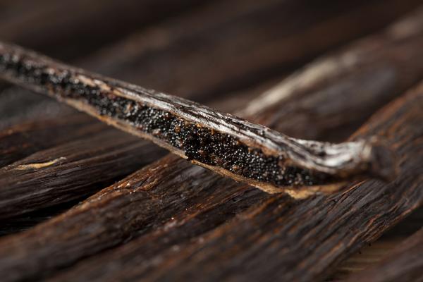 Photo of vanilla pod